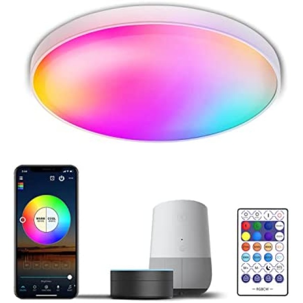 LED Ceiling Light Fixtures Flush Mount, 12Inch 30W Smart Ceiling Light, 2700K-6500K White & RGB Color Changing, Remote & Smart APP Control, Compatible with Alexa Google Home, Sync with Music