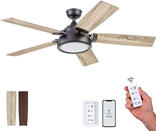 Prominence Home 51639-01 Potomac Smart Ceiling Fan and Remote, 52, Matte Black