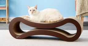 25 Best Cat Toys and Supplies (2022): Scratchers, Window Perches, Modern Furniture, Etc