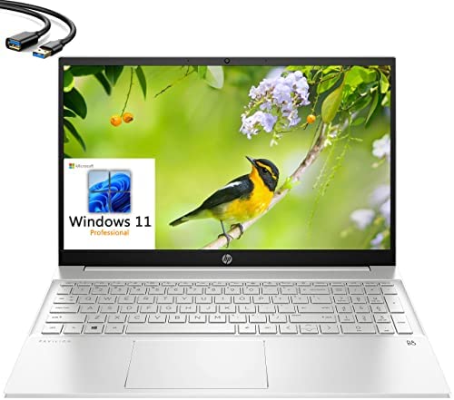 HP 2023 Pavilion 15 15.6" FHD Business Laptop, 12th Gen Intel 10 Cores i7-1255U, 32GB DDR4 RAM, 1TB PCIe SSD, WiFi 6, Bluetooth 5.2, Webcam, Natural Silver, Windows 11 Pro, iPuzzl Extension Cable